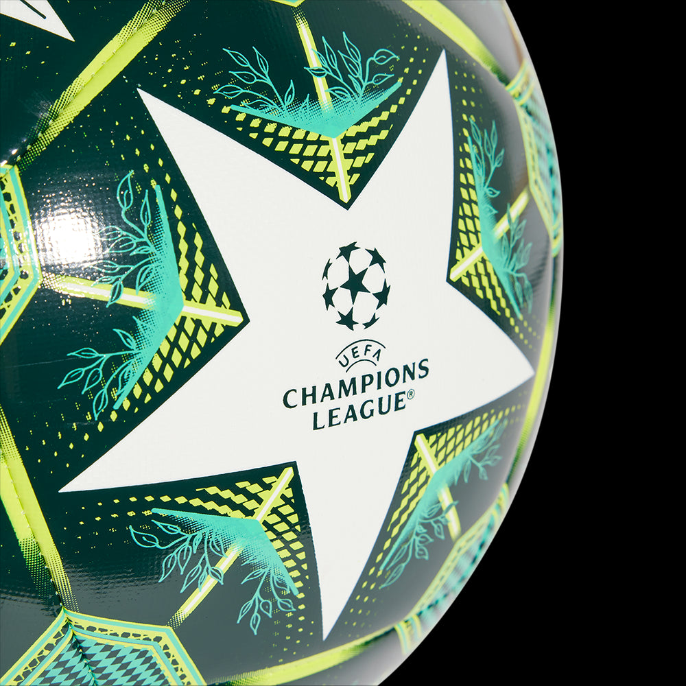 PALLONE UCL TRAINING 24/25