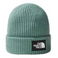 SALTY LINE BEANIE