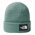 SALTY LINE BEANIE