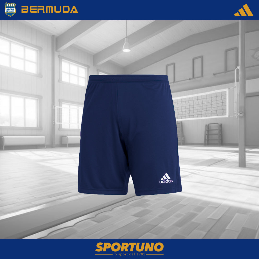 BERMUDA