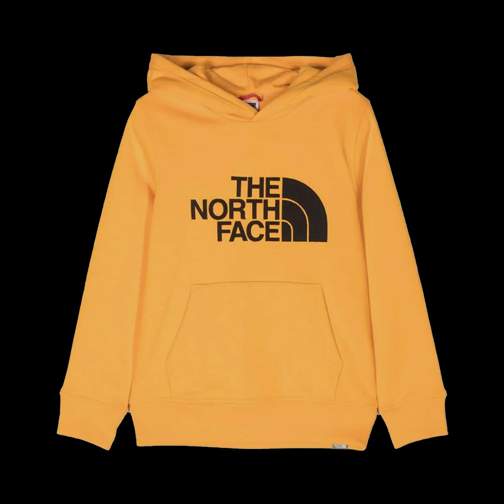 B DREW PEAK P/O HOODIE