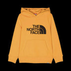 B DREW PEAK P/O HOODIE