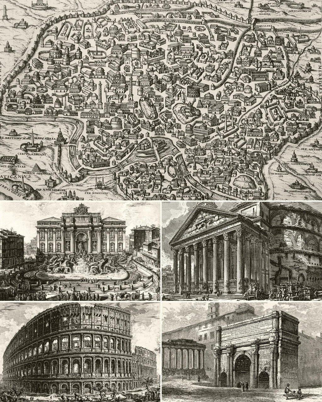 MAGLIA ALBA ROMA 
AETERNA EDITION