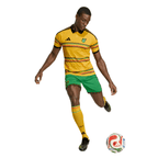 SHORT JAMAICA HOME 2026