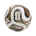 WC FINAL PRO