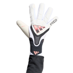 PRED GL PRO