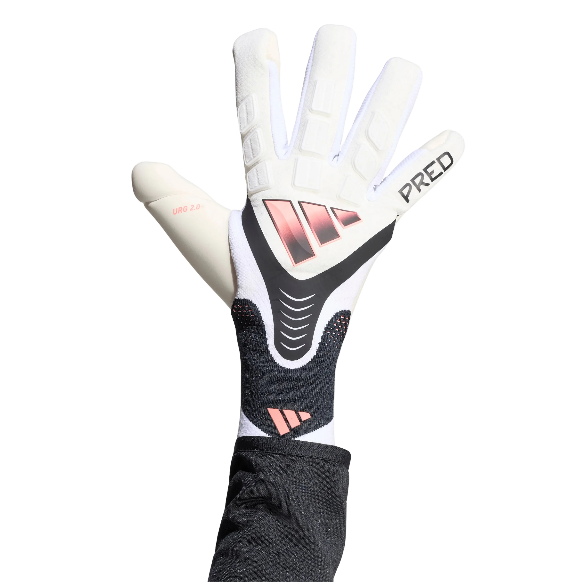 PRED GL PRO