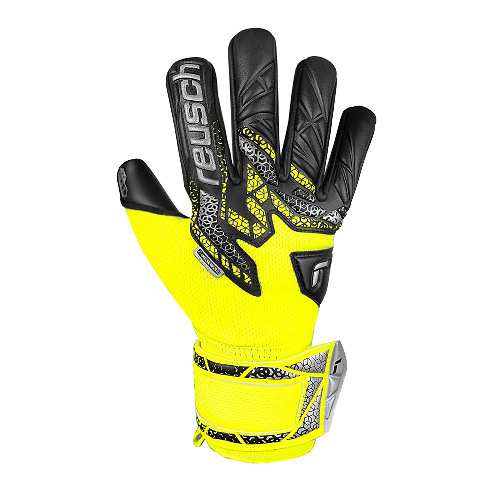 ATTRAKT GOLD X NC JUNIOR