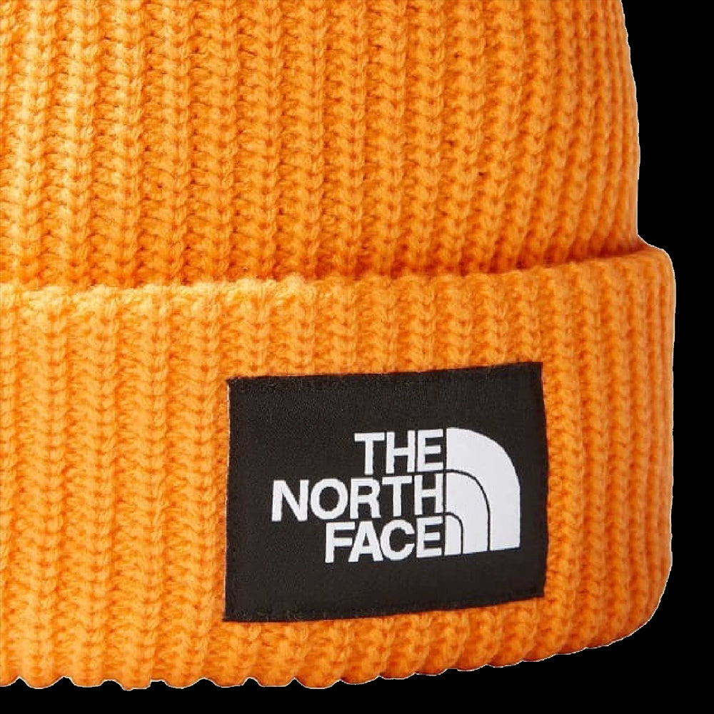 SALTY LINE BEANIE