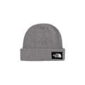 SALTY LINED BEANIE
