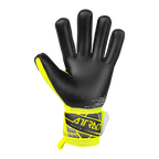 ATTRAKT GOLD X NC JUNIOR