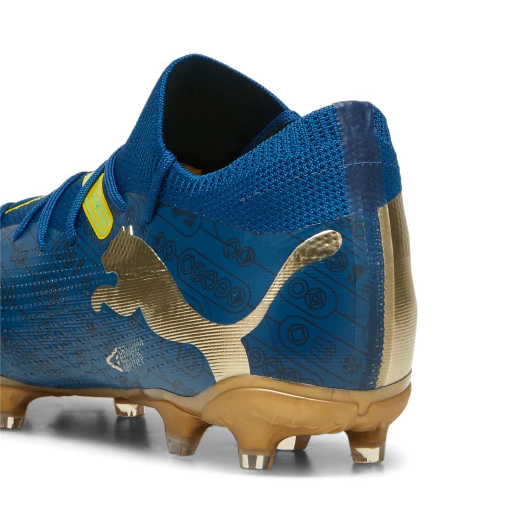 FUTURE 7 MATCH BNA FG AG