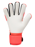 FM SUPERSOFT HN
