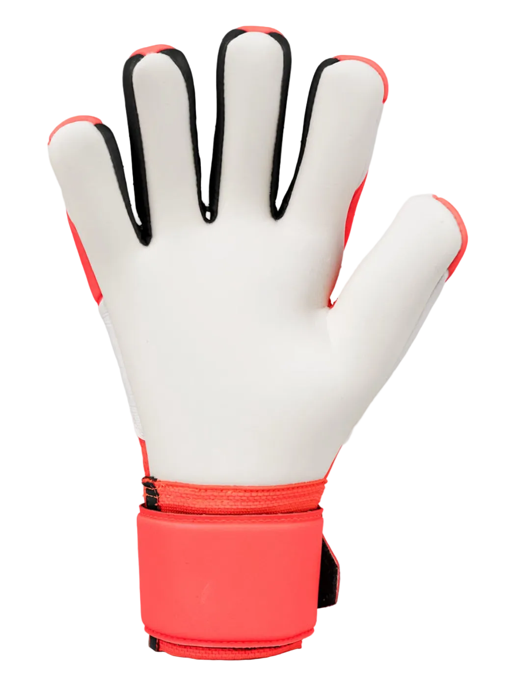 FM SUPERSOFT HN