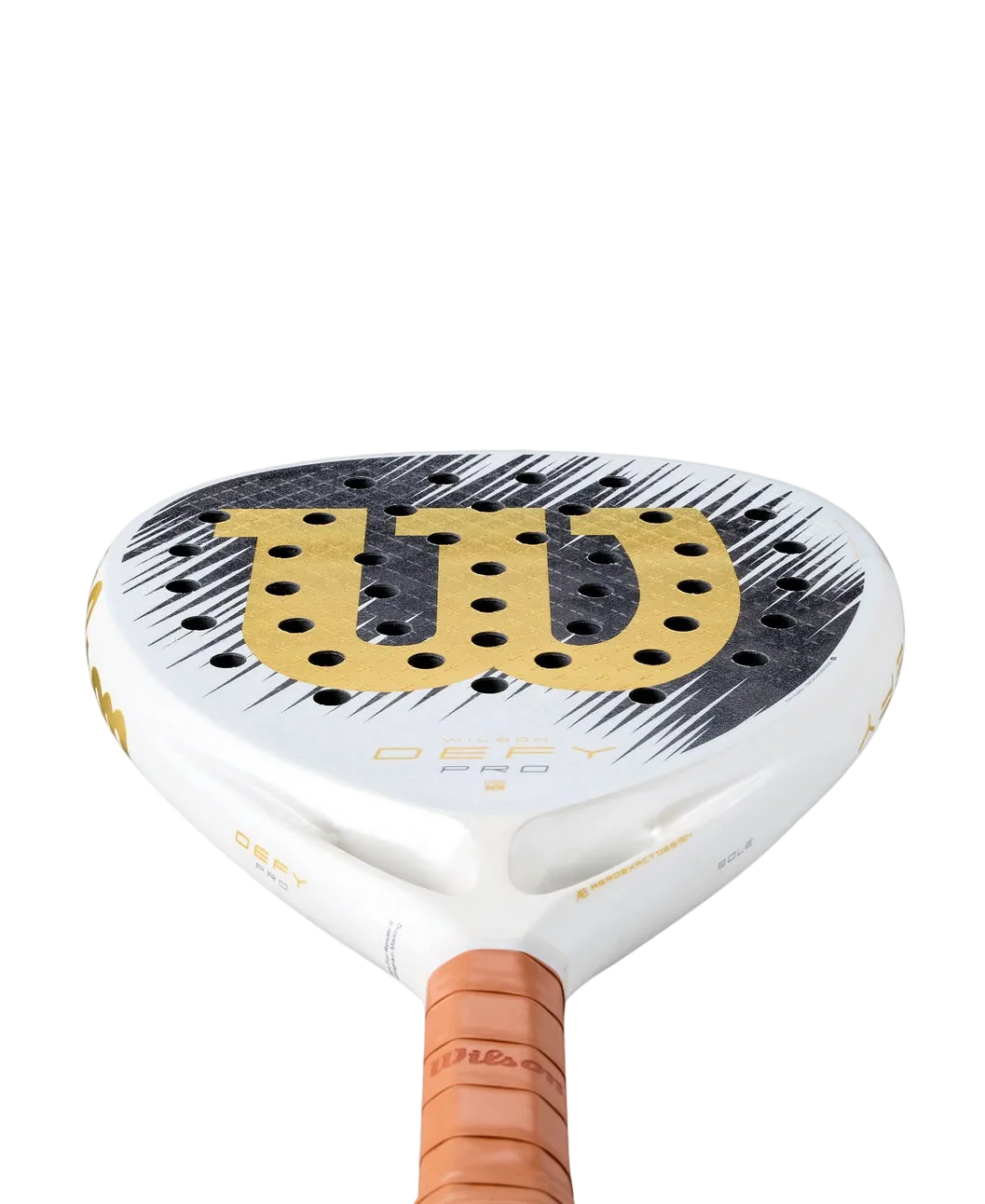 DEFY PRO V1 SE