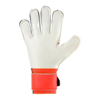 FM SOFT FLEX FRAME