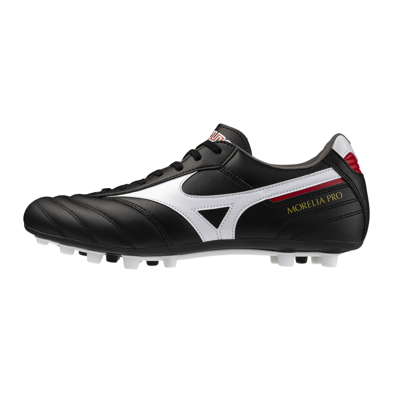 MORELIA II PRO AG