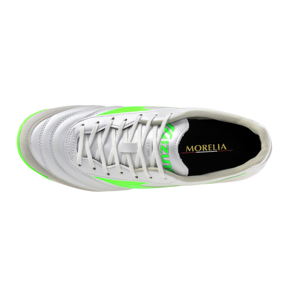 MORELIA SALA PRO TF