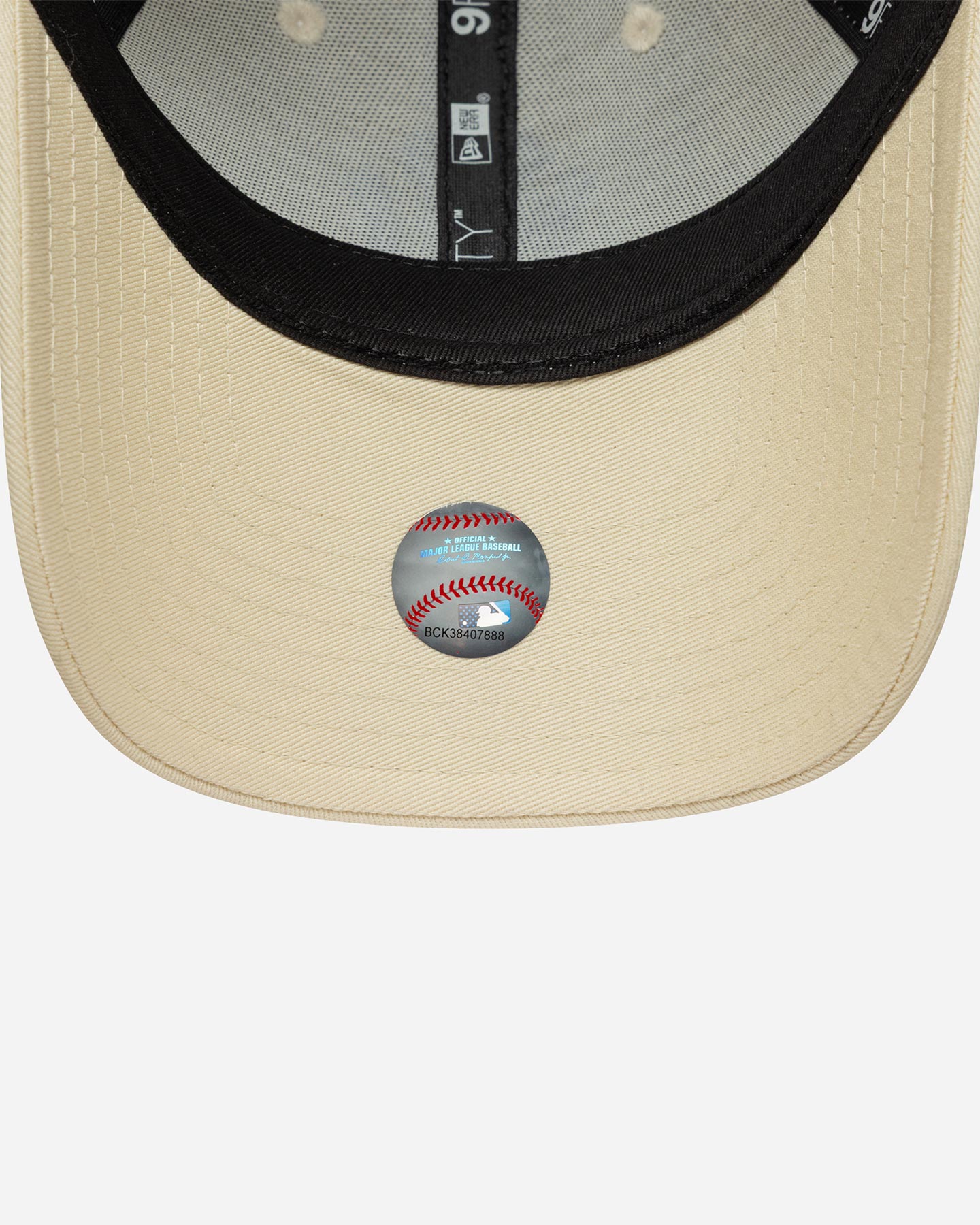 CAPPELLINO NY