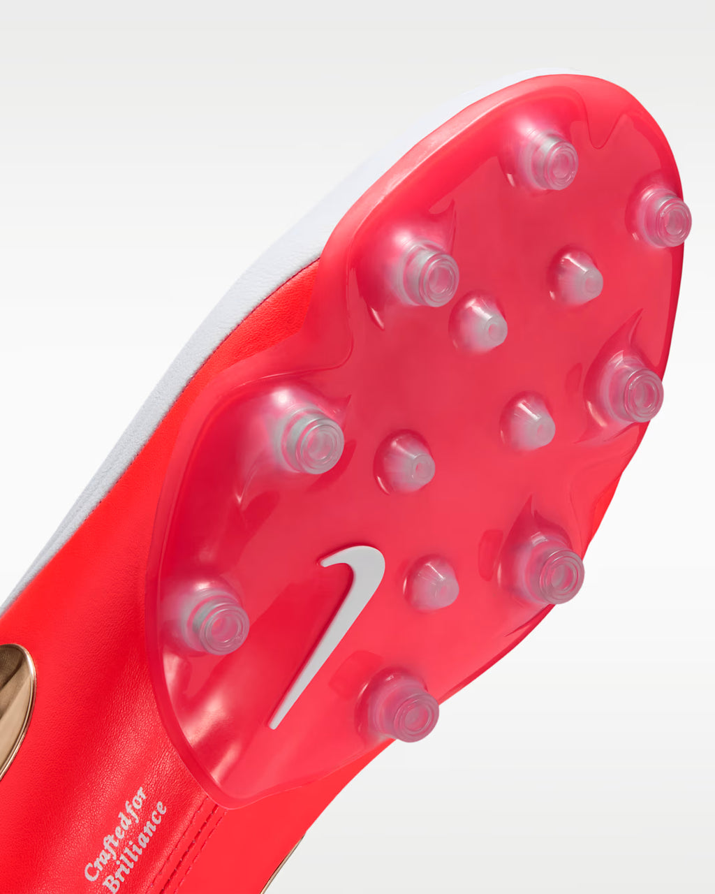TIEMPO MAESTRO ELITE AG PRO