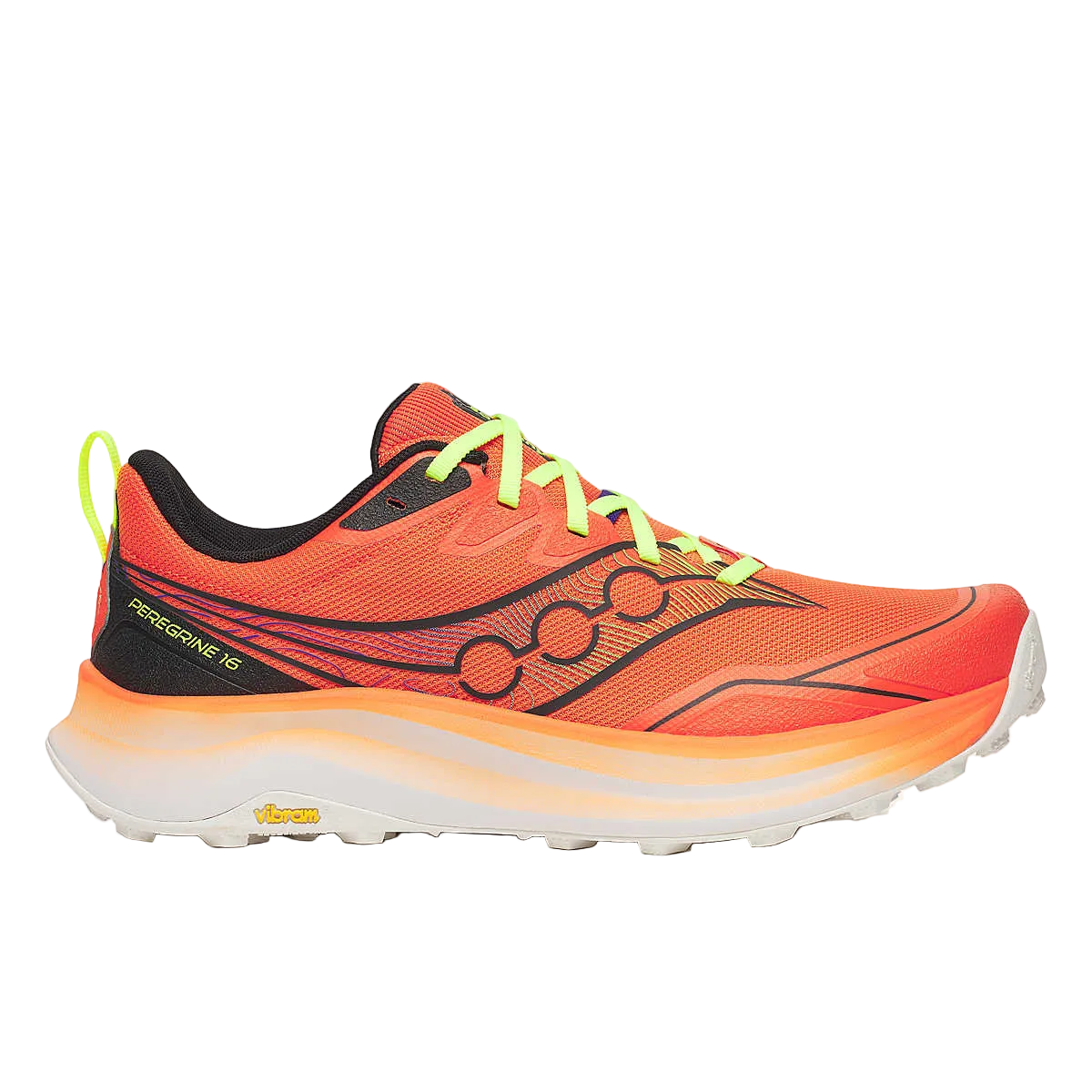 PEREGRINE 16   M