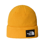 SALTY LINED BEANIE