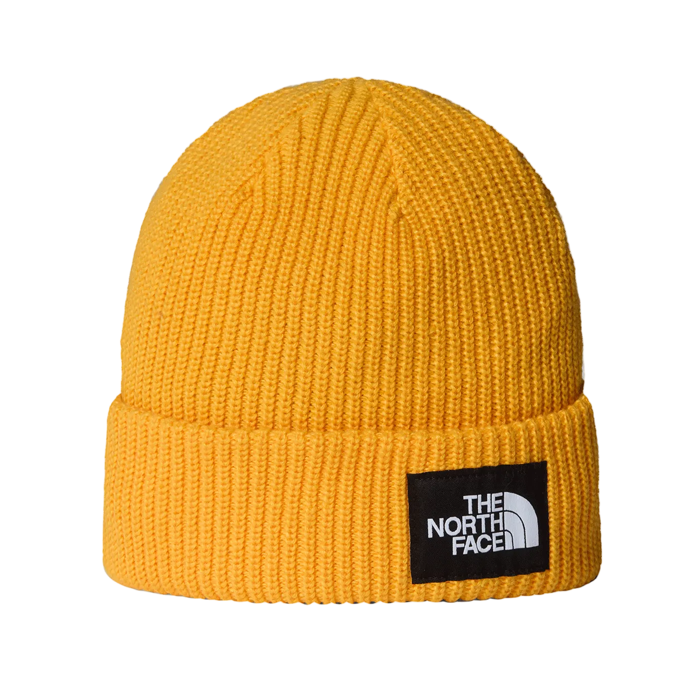 SALTY LINED BEANIE