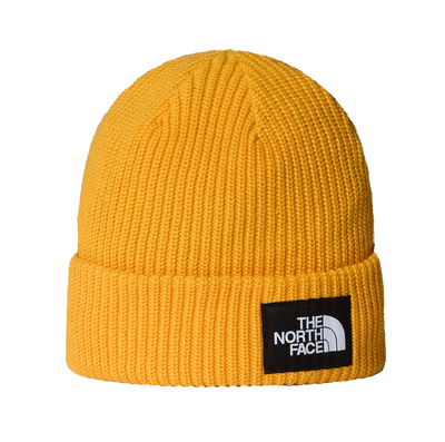 SALTY LINED BEANIE