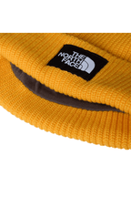 SALTY LINED BEANIE