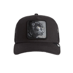 CAPPELLINO PANTERA G BROS