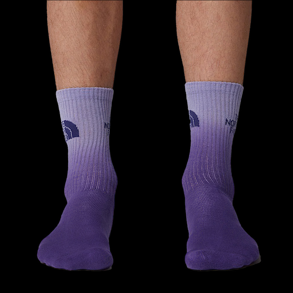 THE NORTH FACE CREW SOCK  2P