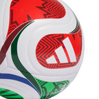 PALLONE WC TRN