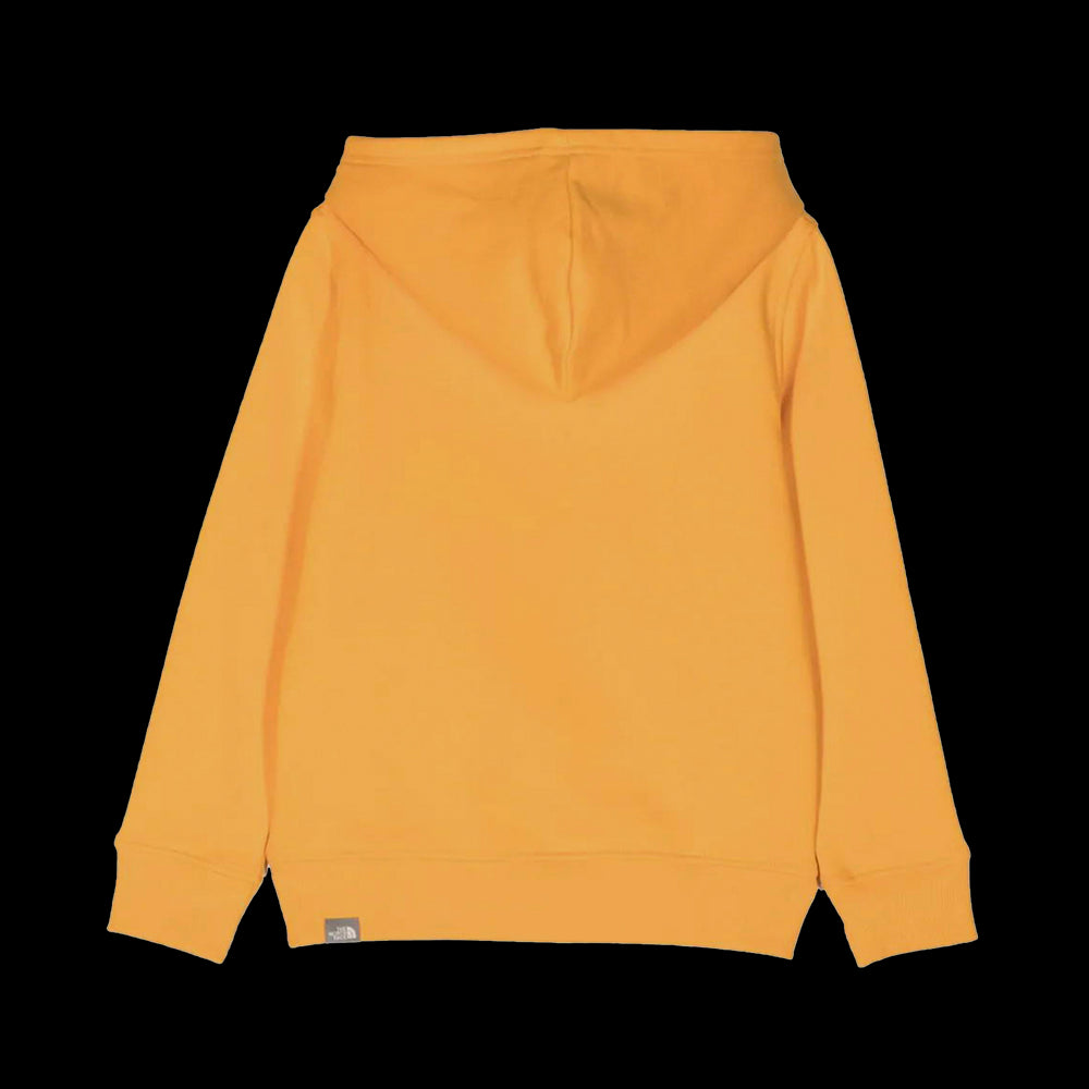 B DREW PEAK P/O HOODIE