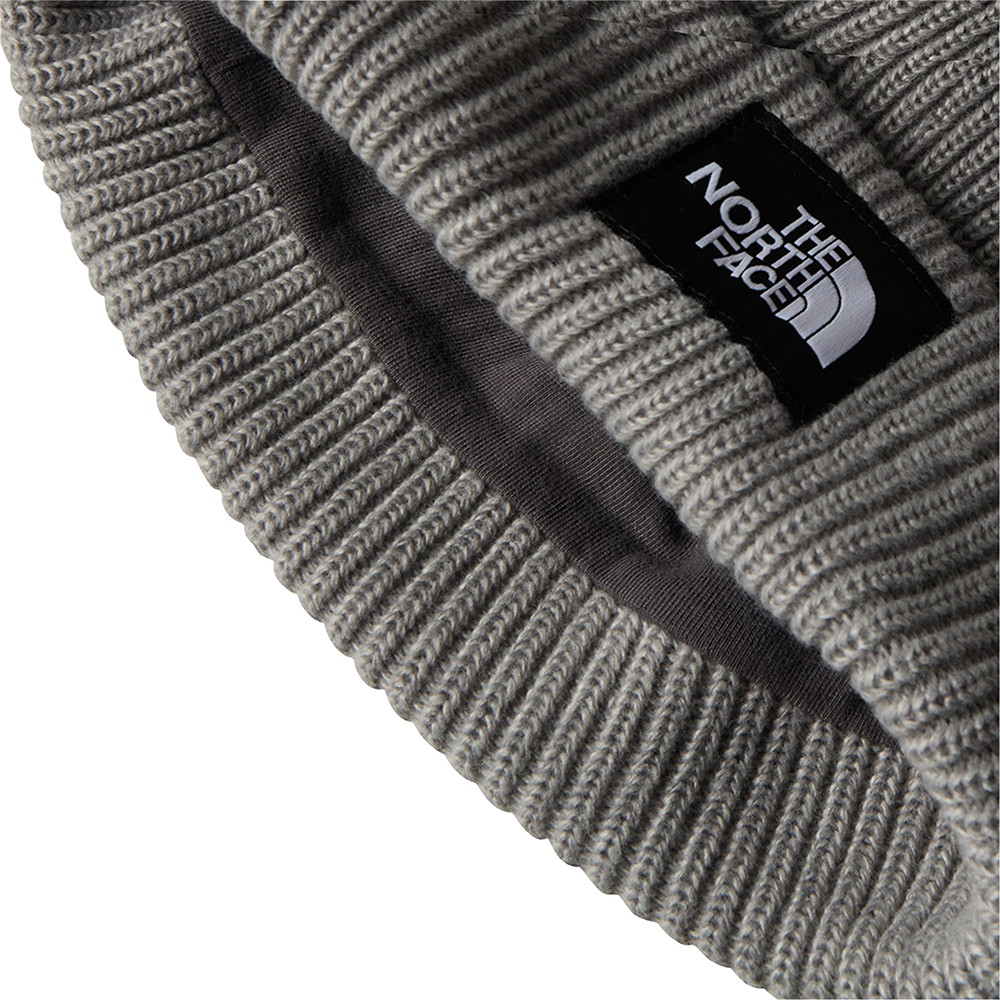 SALTY LINED BEANIE