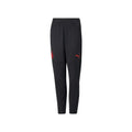 PUMA AC MILAN TRAINING PANTS