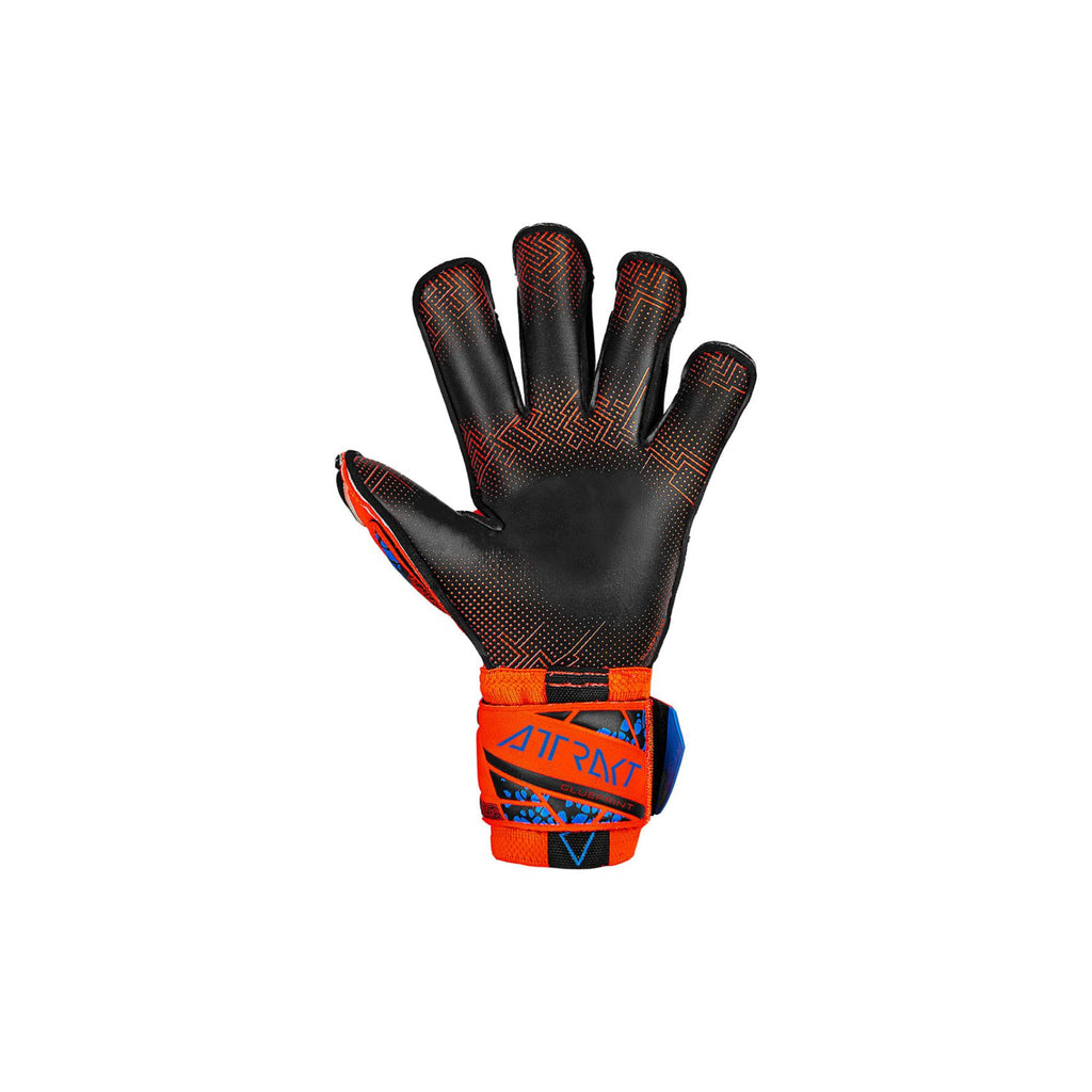 REUSCH ATTRAKT GOLD X EVOLUTION GLUEPRINT