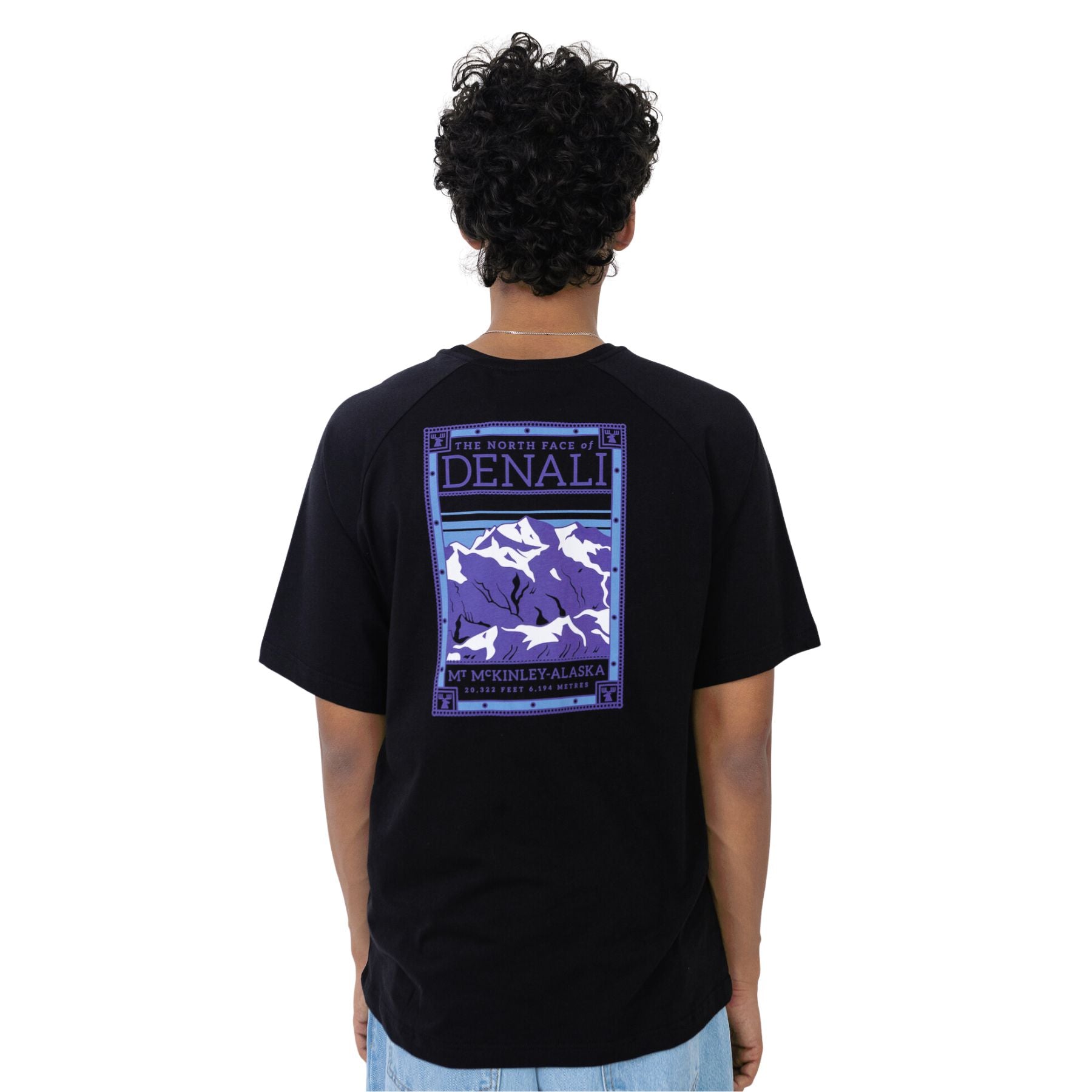 THE NORTH FACE TEE M