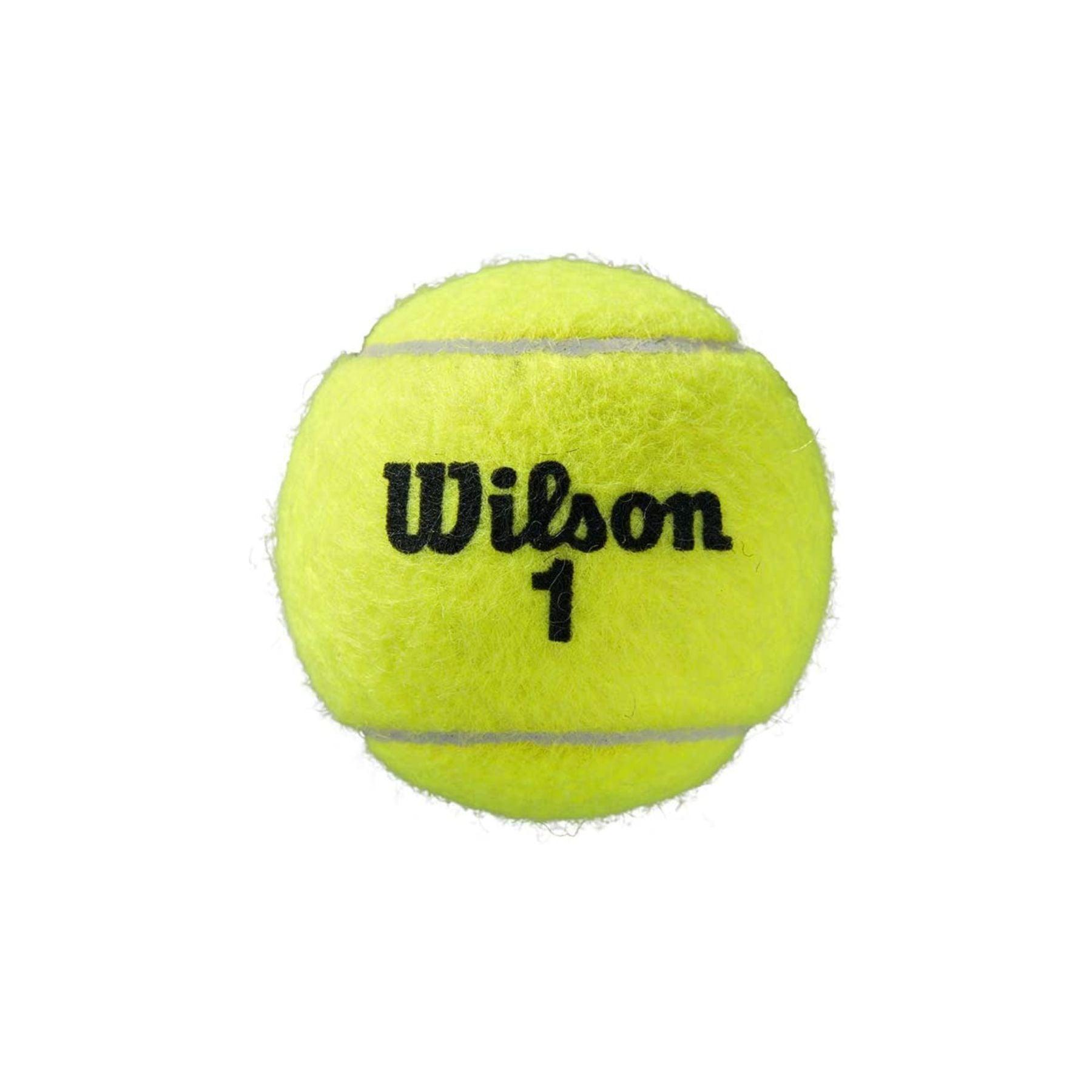 WILSON ROLAND GARROS CLAY CT 4 BALL